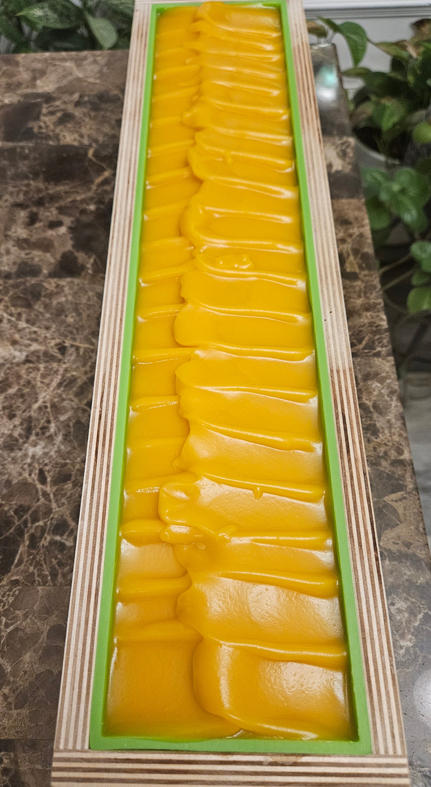 Coral Radiance (Carrot & Papaya Soap Bar)