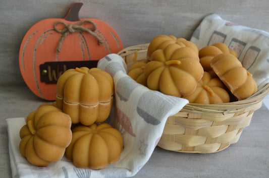 Fall Edition (Final Few) - Pumpkin Soap